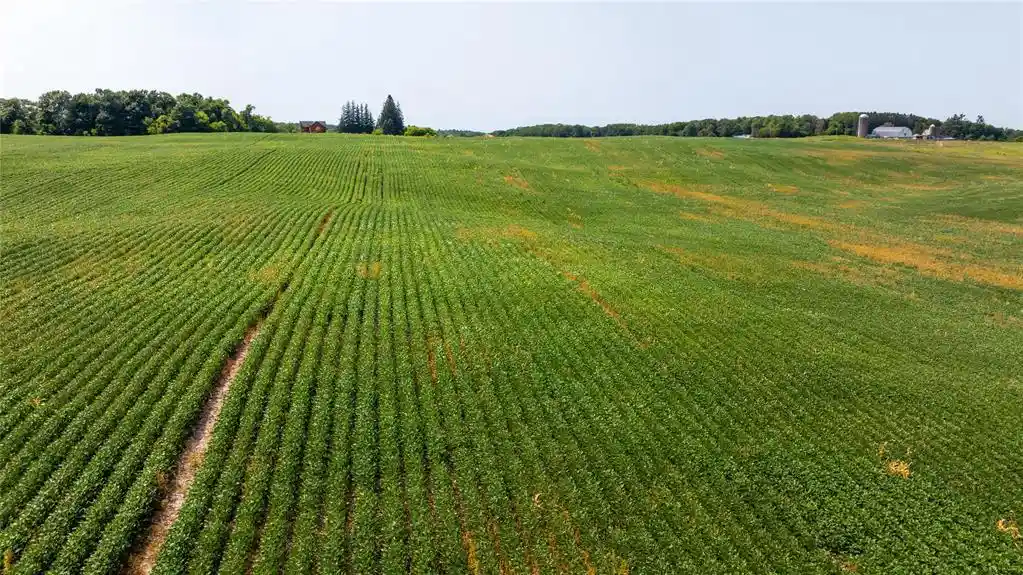 Photo 3 of Land for sale at Xxxx 190th Street, Centuria, WI 54824 | MLS# 1605124 | Listing updated on 2026-09-14
