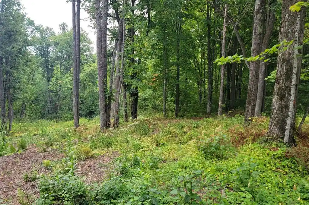 Photo 2 of Land for sale at 5522n County Hwy G, Winter, WI 54896 | MLS# 1605127 | Listing updated on 2026-09-14