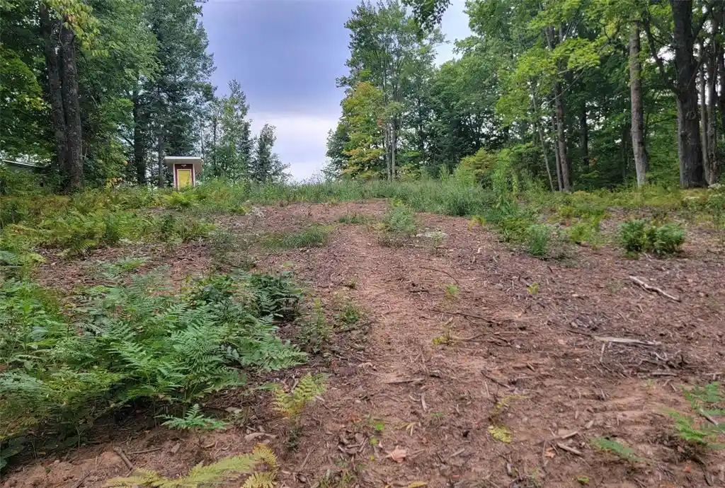 Photo 3 of Land for sale at 5522n County Hwy G, Winter, WI 54896 | MLS# 1605127 | Listing updated on 2026-09-14