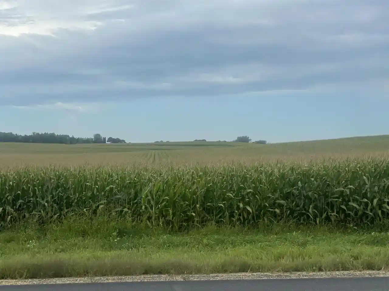 Photo 1 of Land for sale at State Rd 60, Lodi, WI 53555 | MLS# 2032638 | Listing updated on 2026-09-16