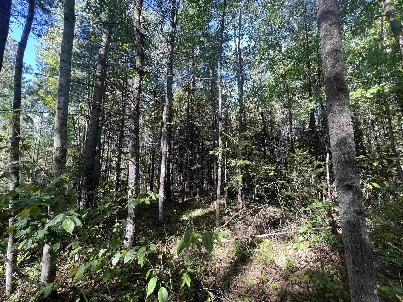 Photo 3 of Sale Pending at N12287 Poplar Rd, Wausaukee, WI 54177 | MLS# 50332650 | Listing updated on 2026-09-21