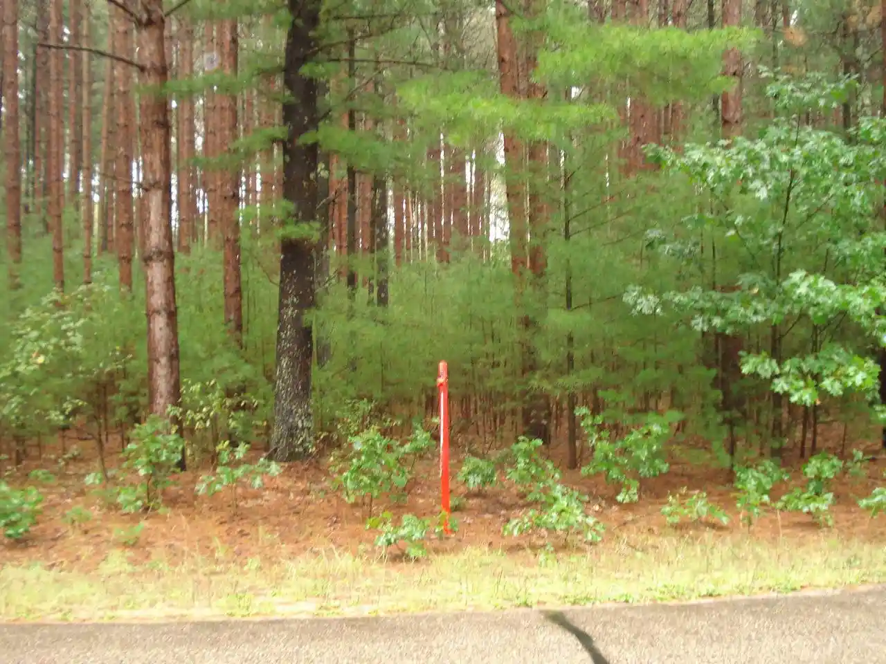Land for sale at 4th Avenue, Redgranite, WI 54970 | MLS# 50332657