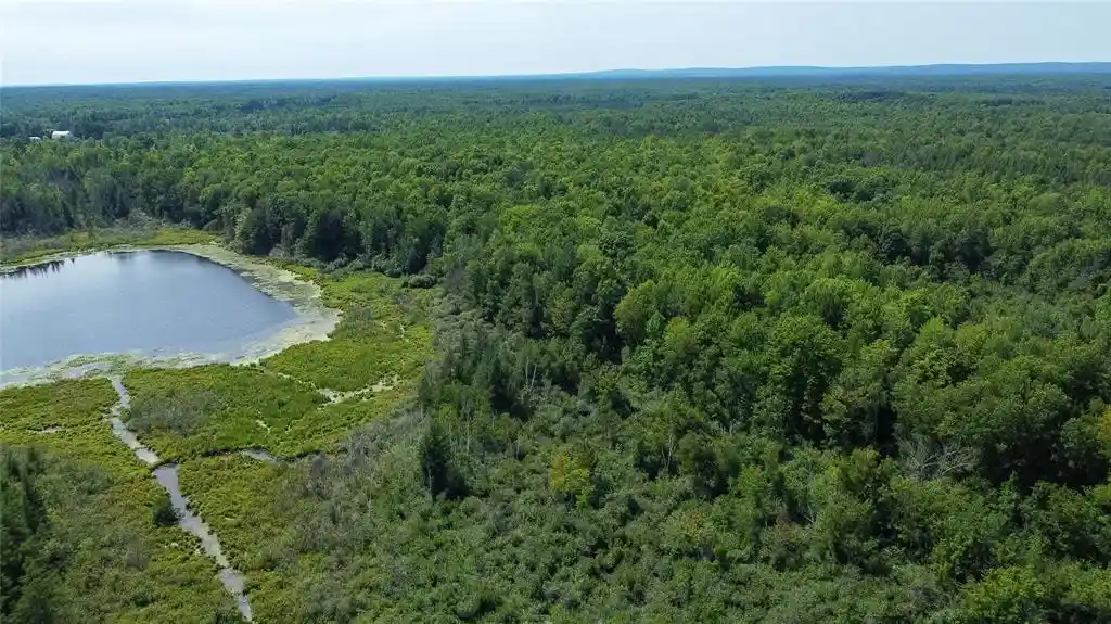Photo 2 of Land for sale at 0 W8946 Us Hwy 8, Ladysmith, WI 54848 | MLS# 1605125 | Listing updated on 2026-09-20