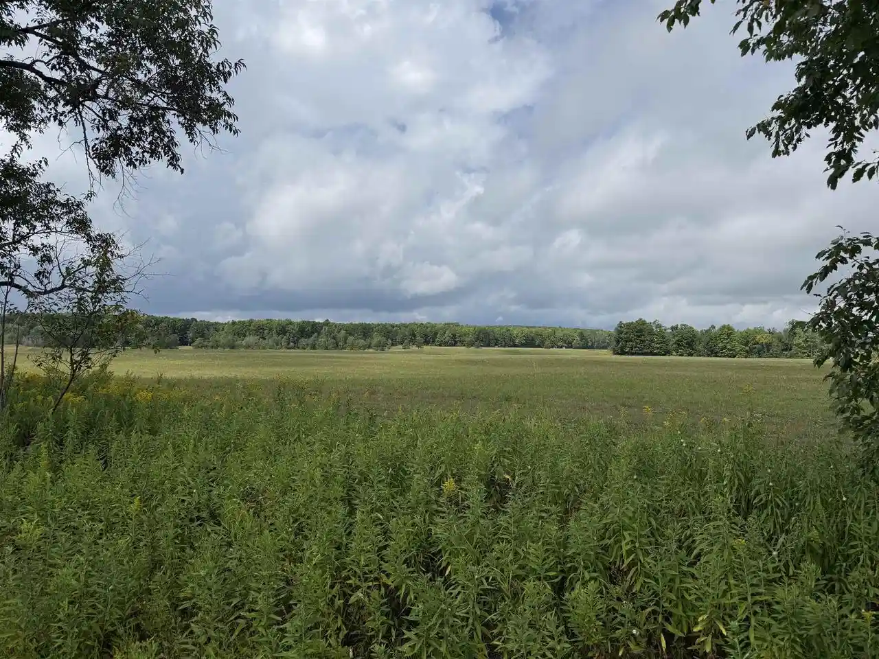 Photo 1 of Sale Pending at W15976 Quarter Dr, Goodman, WI 54125 | MLS# 22604552 | Listing updated on 2026-09-15