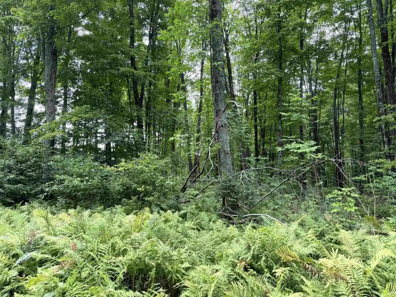 Photo 2 of Land for sale at Sportsman Rd, Goodman, WI 54125 | MLS# 22604553 | Listing updated on 2026-09-15
