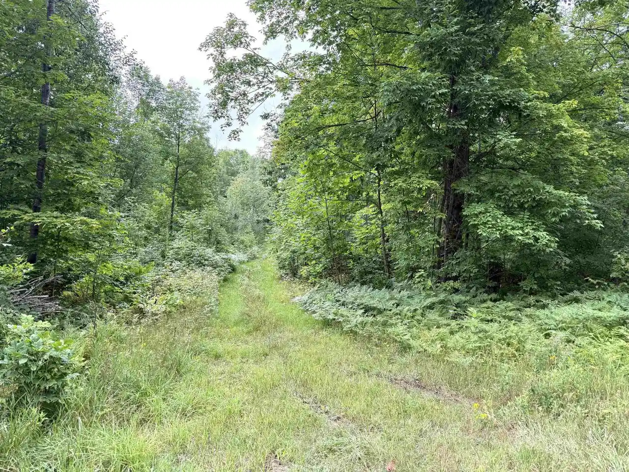 Photo 4 of Land for sale at Sportsman Rd, Goodman, WI 54125 | MLS# 22604553 | Listing updated on 2026-09-15
