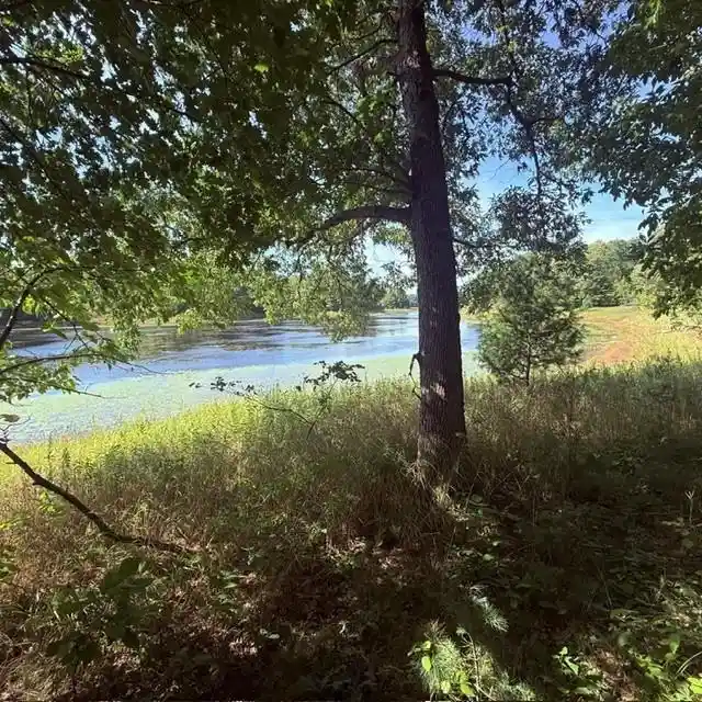 Photo 2 of Land for sale at Tbd W Lilja Ave, Shell Lake, WI 54871 | MLS# 1605153 | Listing updated on 2026-09-15