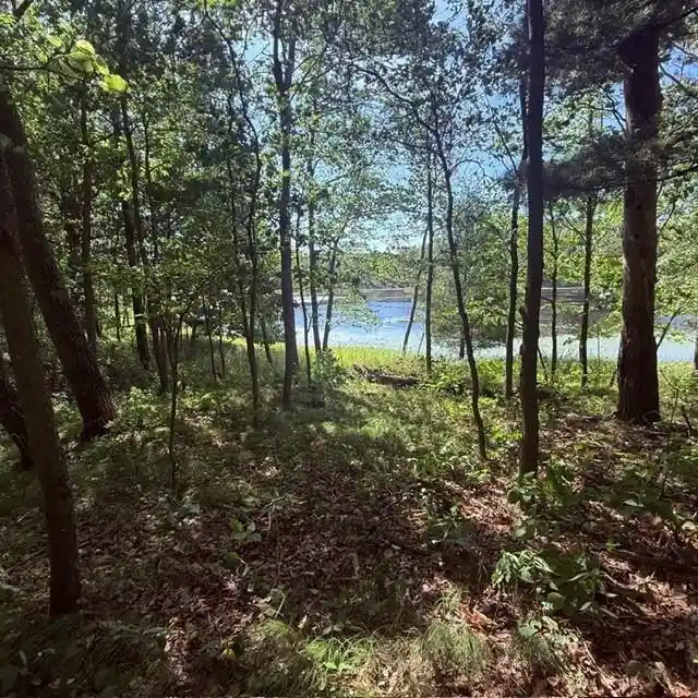 Photo 3 of Land for sale at Tbd W Lilja Ave, Shell Lake, WI 54871 | MLS# 1605153 | Listing updated on 2026-09-15