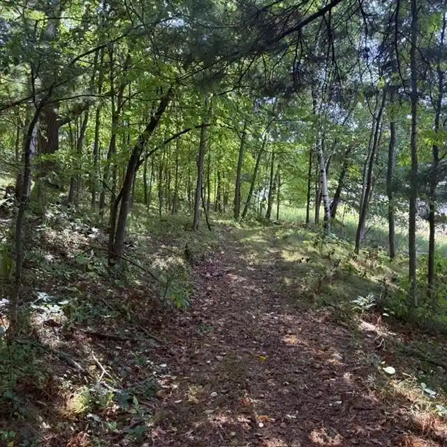 Photo 3 of Land for sale at Tbd W Lilja Ave, Shell Lake, WI 54871 | MLS# 1605153 | Listing updated on 2026-09-15