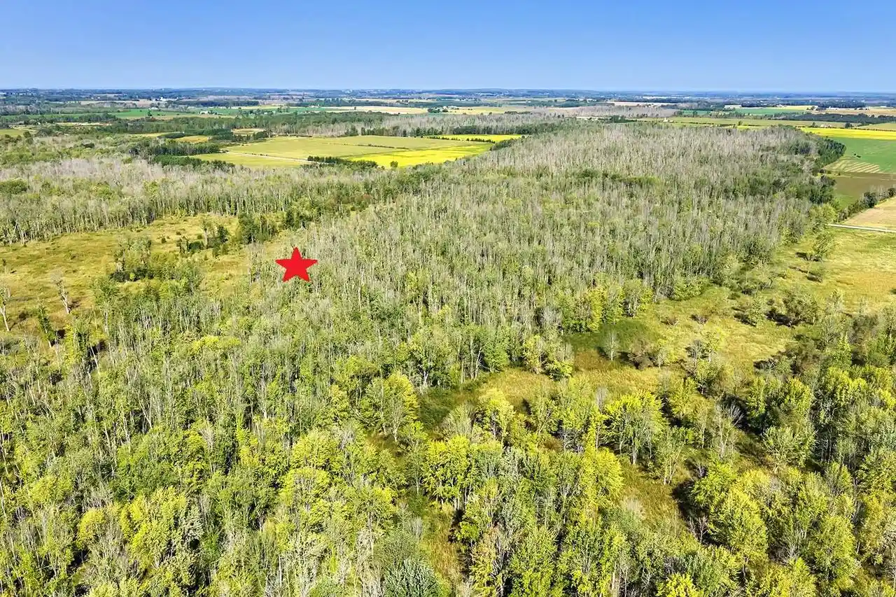 Photo 3 of Land for sale at County Rd J, Forestville, WI 54213 | MLS# 50332679 | Listing updated on 2026-09-23