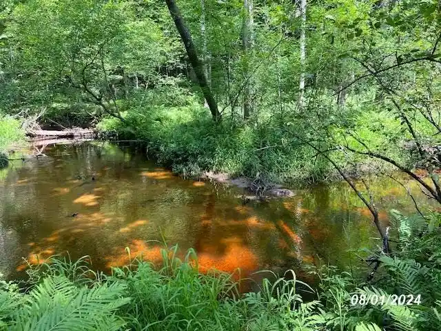 Land for sale at W5182 Turkey Trot Ln, Wausaukee, WI 54177 | MLS# 50332602