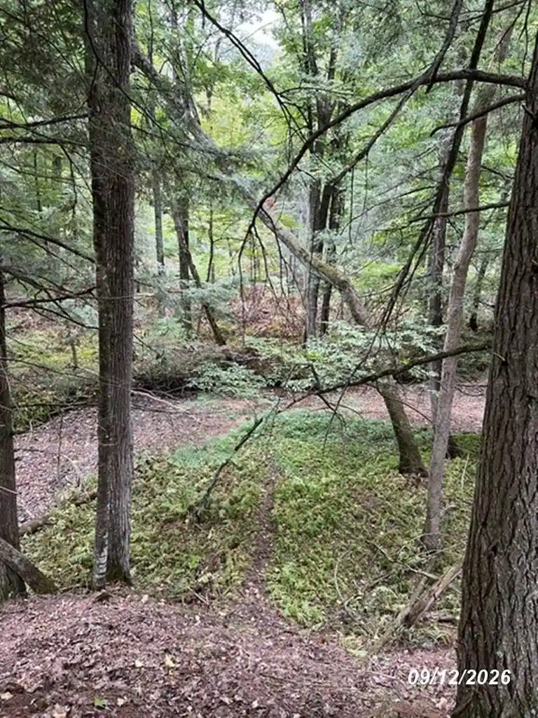 Photo 1 of Land for sale at W5182 Turkey Trot Ln, Wausaukee, WI 54177 | MLS# 50332602 | Listing updated on 2026-09-15