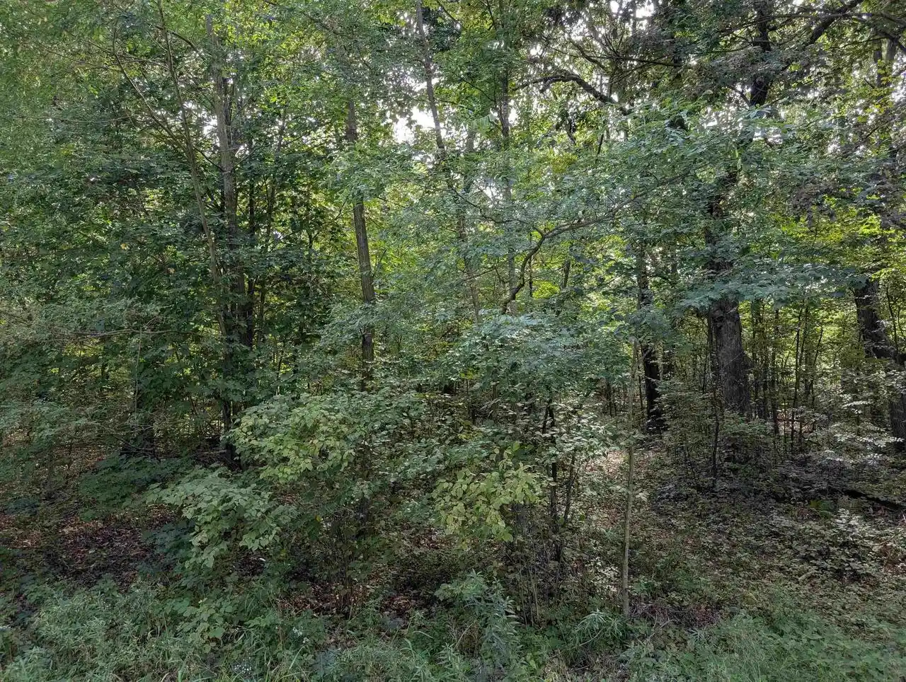 Photo 1 of Land for sale at 0 Raedel Ln, Wisconsin Dells, WI 53965 | MLS# 2032715 | Listing updated on 2026-09-16