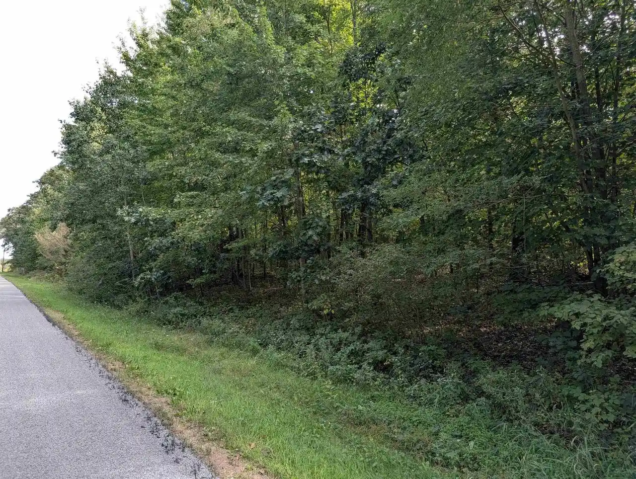 Photo 2 of Land for sale at 0 Raedel Ln, Wisconsin Dells, WI 53965 | MLS# 2032715 | Listing updated on 2026-09-16