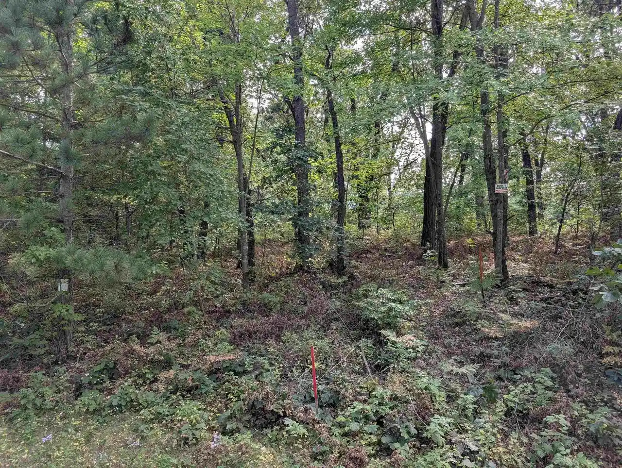 Photo 1 of Land for sale at E8877 Raedel Ln, Wisconsin Dells, WI 53965 | MLS# 2032719 | Listing updated on 2026-09-16