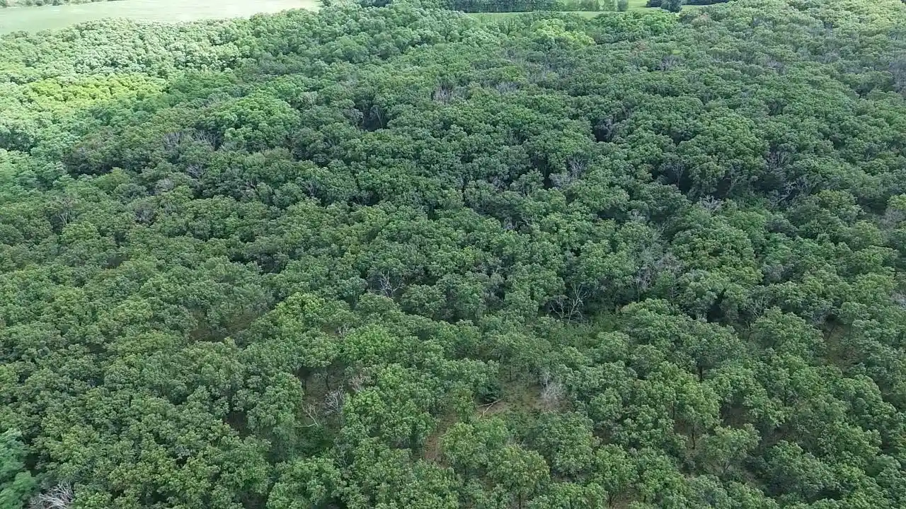 Photo 3 of Land for sale at E8877 Raedel Ln, Wisconsin Dells, WI 53965 | MLS# 2032719 | Listing updated on 2026-09-16