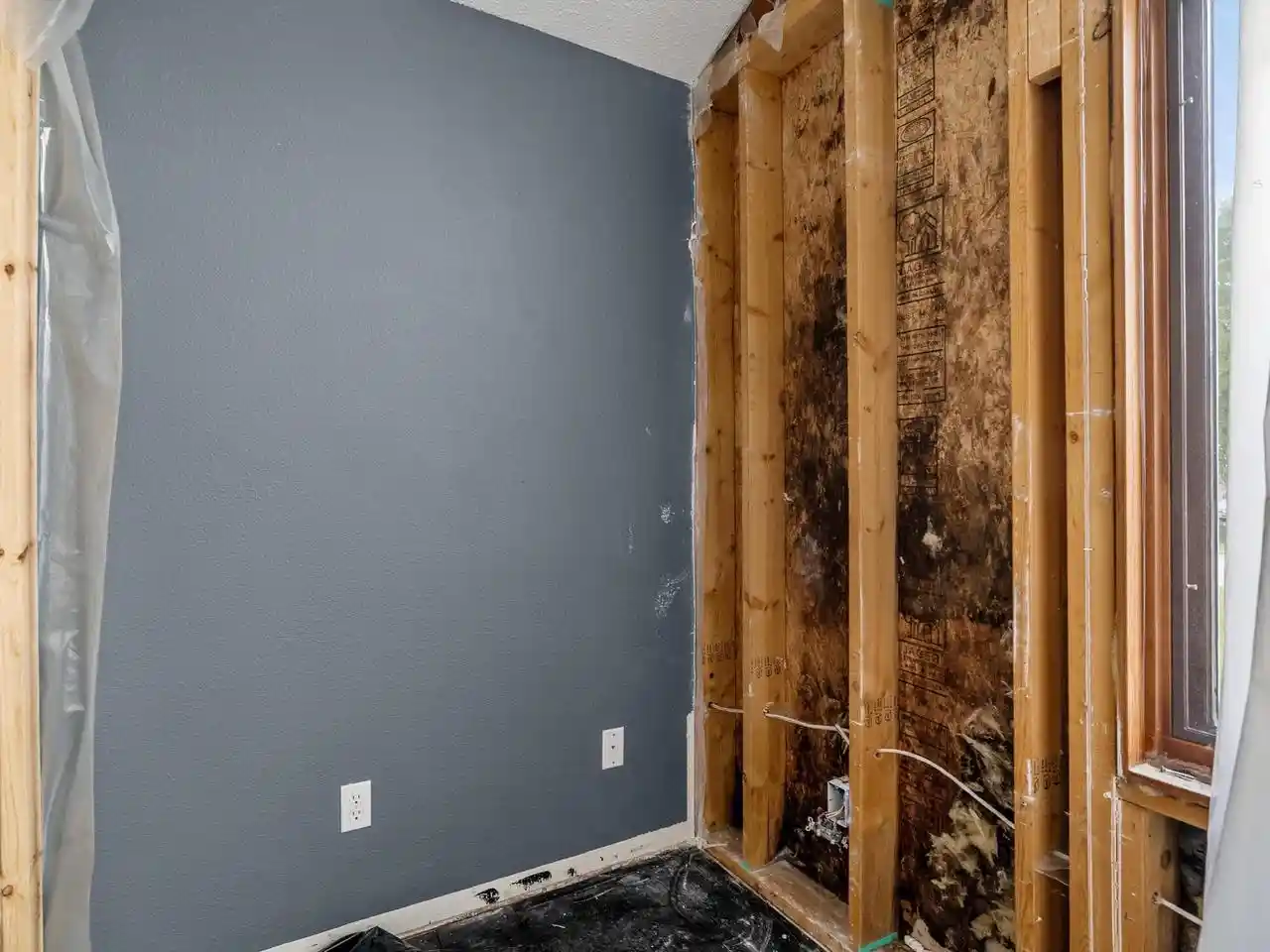 Photo 3 of Single family home for sale at 803 Woodview Ave, Sheboygan Falls, WI 53085 | MLS# 1980712 | Listing updated on 2026-09-20