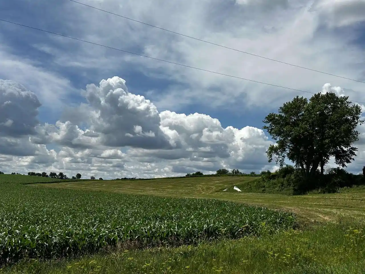 Photo 1 of Land for sale at Lot #1 Hwy Bn, Stoughton, WI 53589 | MLS# 2032727 | Listing updated on 2026-09-15