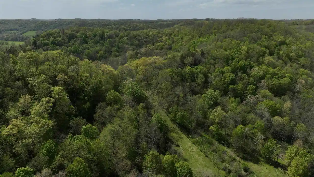 Photo 3 of Land for sale at 000 State Hwy 131, Viola, WI 54664 | MLS# 2032730 | Listing updated on 2026-09-16