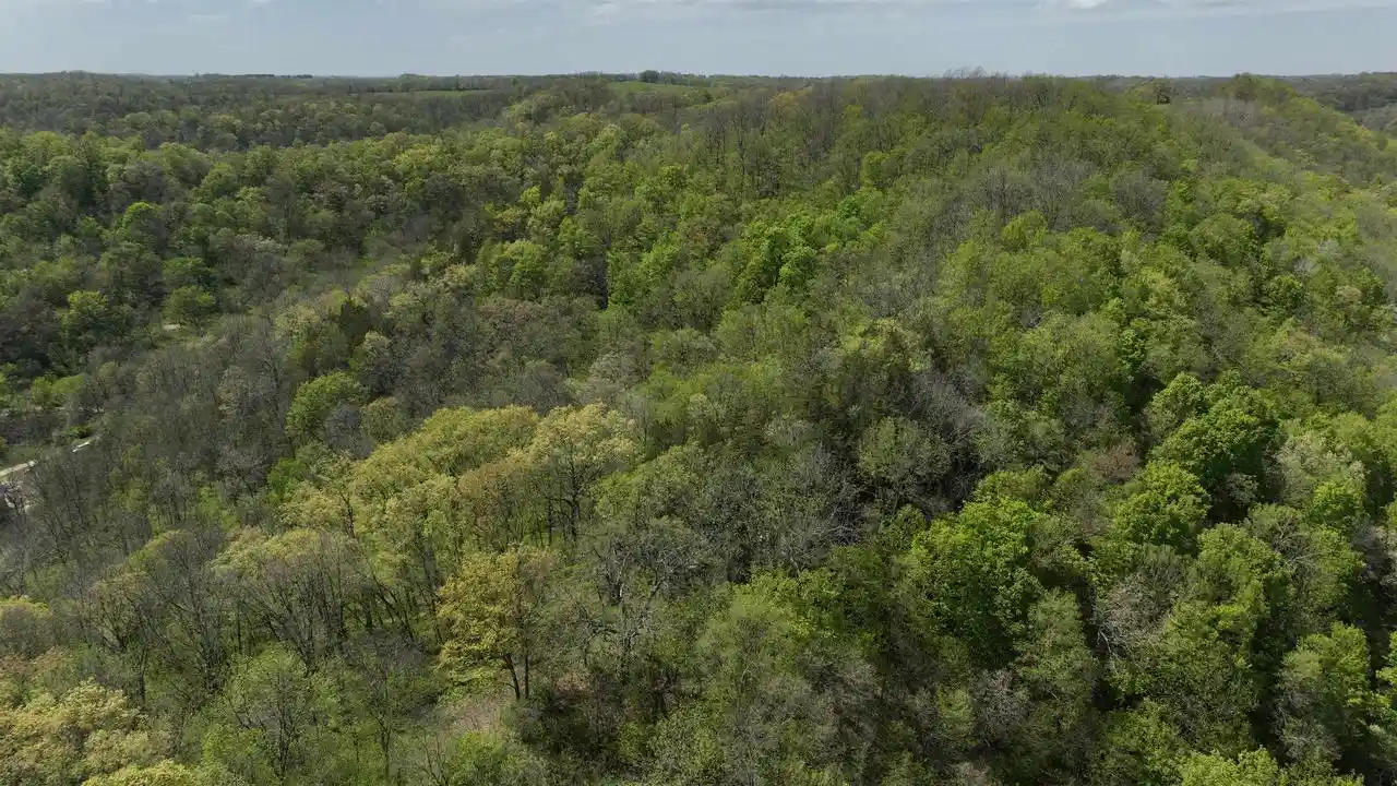 Photo 4 of Land for sale at 000 State Hwy 131, Viola, WI 54664 | MLS# 2032730 | Listing updated on 2026-09-16
