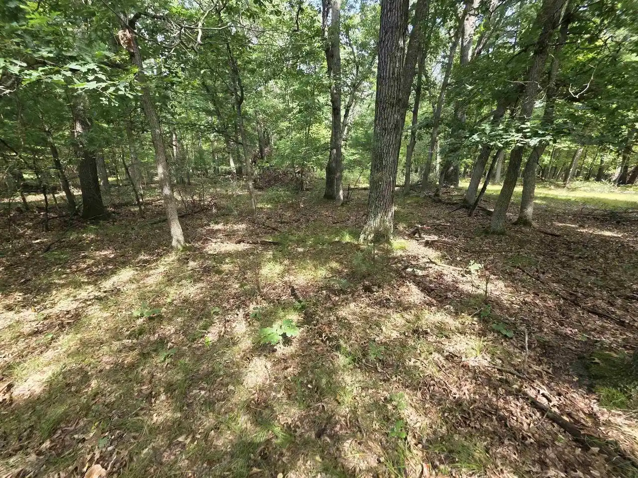Photo 2 of Land for sale at 1033 Acres 47th St, Mauston, WI 53948 | MLS# 2032731 | Listing updated on 2026-09-23