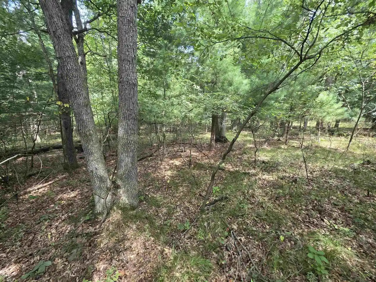 Photo 3 of Land for sale at 1033 Acres 47th St, Mauston, WI 53948 | MLS# 2032731 | Listing updated on 2026-09-23