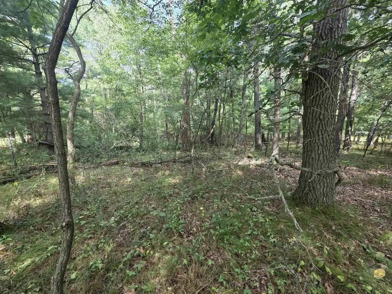 Photo 3 of Land for sale at 1033 Acres 47th St, Mauston, WI 53948 | MLS# 2032731 | Listing updated on 2026-09-23