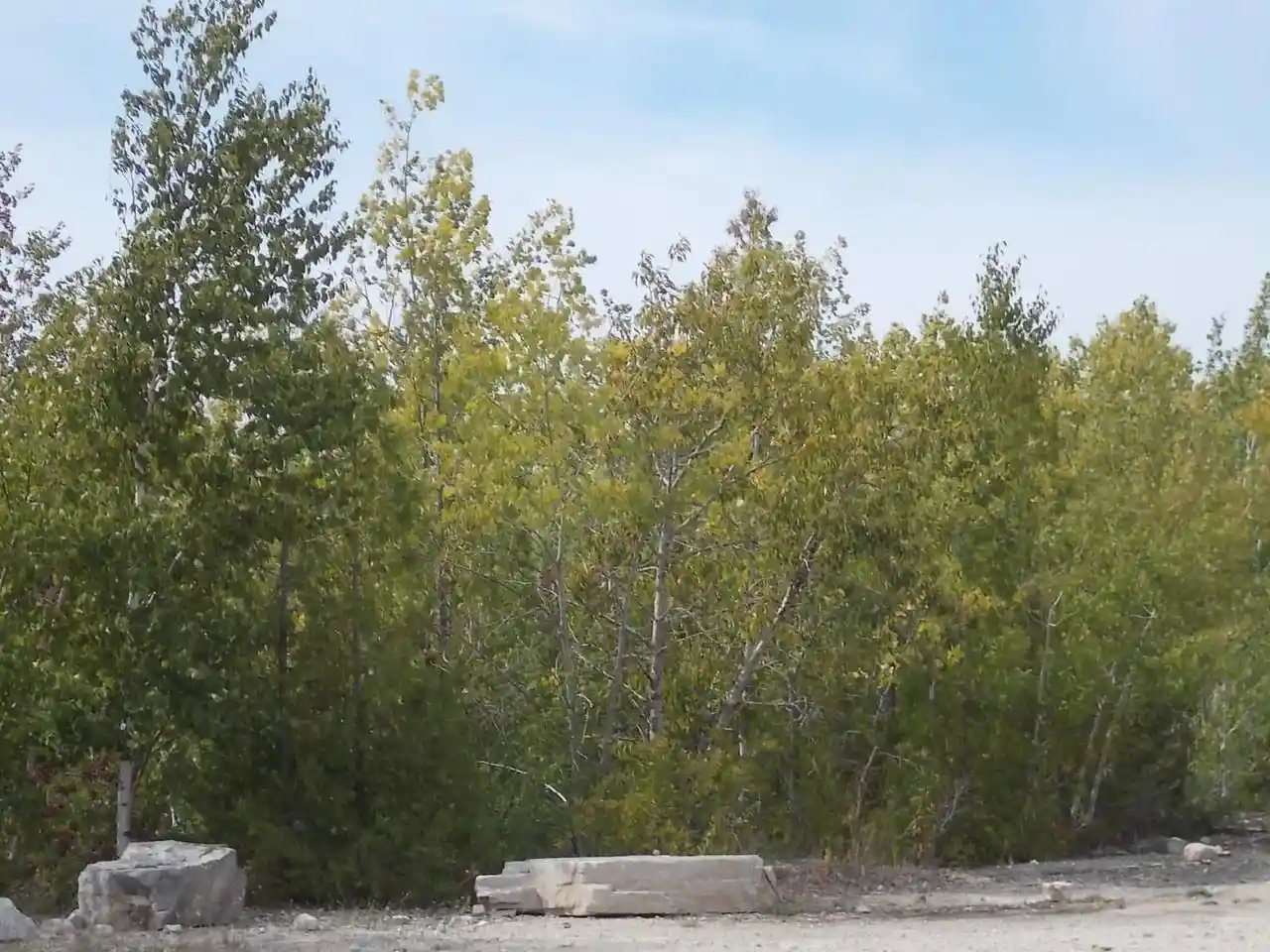 Photo 3 of Land for sale at 4888 Bay Shore Dr, Sturgeon Bay, WI 54235 | MLS# 50332736 | Listing updated on 2026-09-15