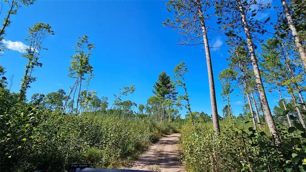 Photo 1 of Land for sale at 1 7 Larson Rd, Hayward, WI 54843 | MLS# 1605167 | Listing updated on 2026-09-20