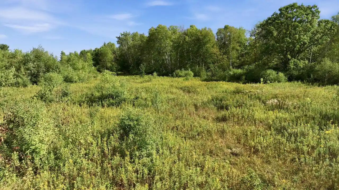 Photo 2 of Land for sale at 000 18th Street, Chetek, WI 54728 | MLS# 1980788 | Listing updated on 2026-09-16