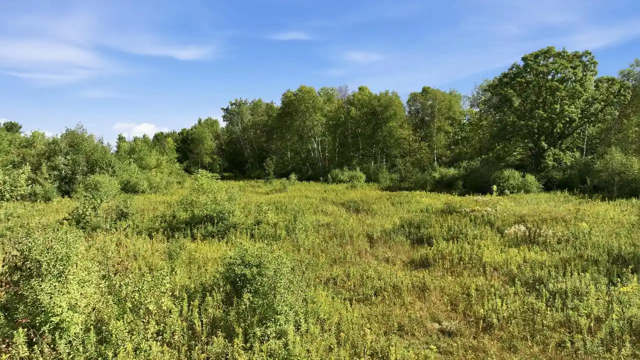 Photo 3 of Land for sale at 000 18th Street, Chetek, WI 54728 | MLS# 1980788 | Listing updated on 2026-09-16