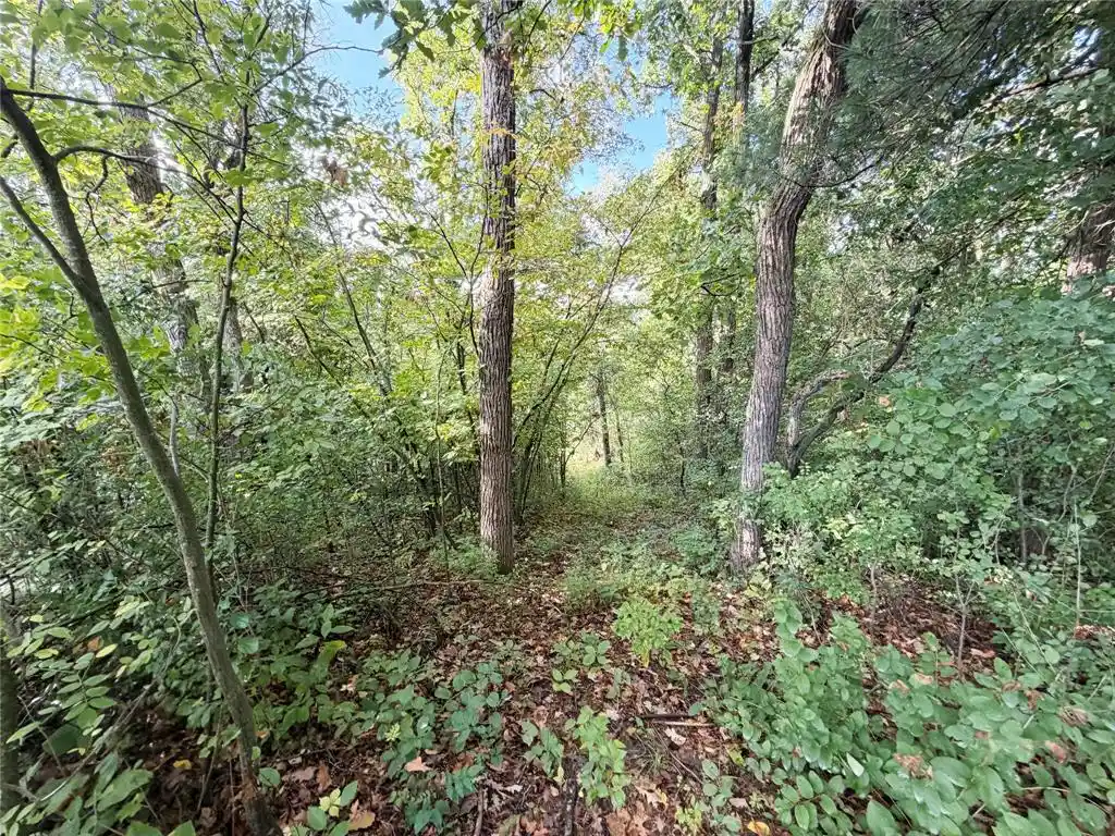 Photo 2 of Land for sale at 1352 24 1/2 St, Cameron, WI 54822 | MLS# 1605152 | Listing updated on 2026-09-16