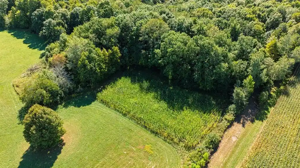 Photo 2 of Land for sale at 0 170th Street, Spring Valley, WI 54767 | MLS# 1605158 | Listing updated on 2026-10-07