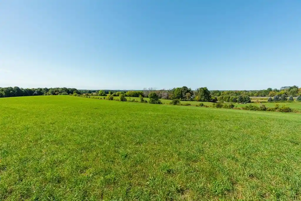 Photo 3 of Land for sale at 0 170th Street, Spring Valley, WI 54767 | MLS# 1605158 | Listing updated on 2026-10-07