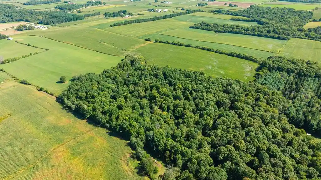 Photo 3 of Land for sale at 0 170th Street, Spring Valley, WI 54767 | MLS# 1605158 | Listing updated on 2026-10-07