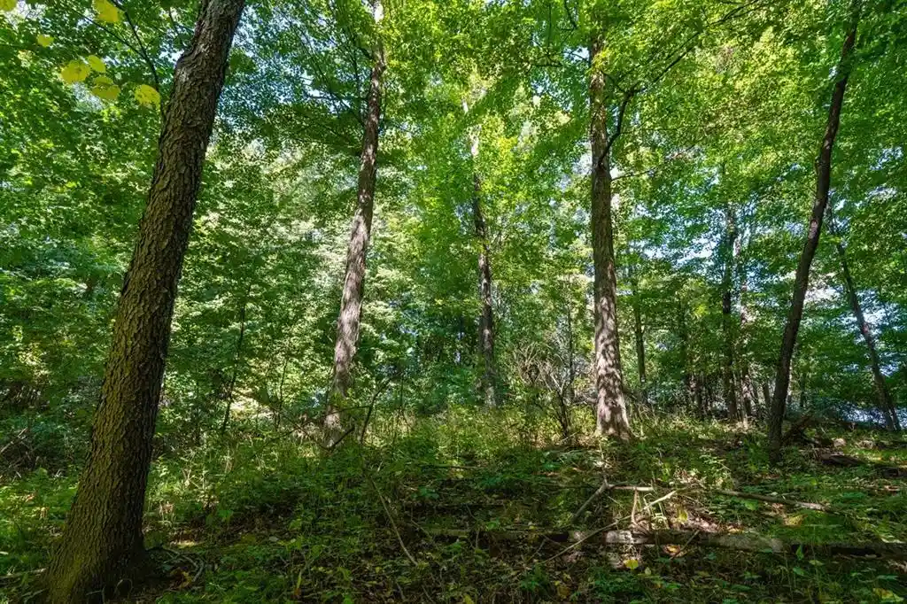 Photo 4 of Land for sale at 0 170th Street, Spring Valley, WI 54767 | MLS# 1605158 | Listing updated on 2026-10-07