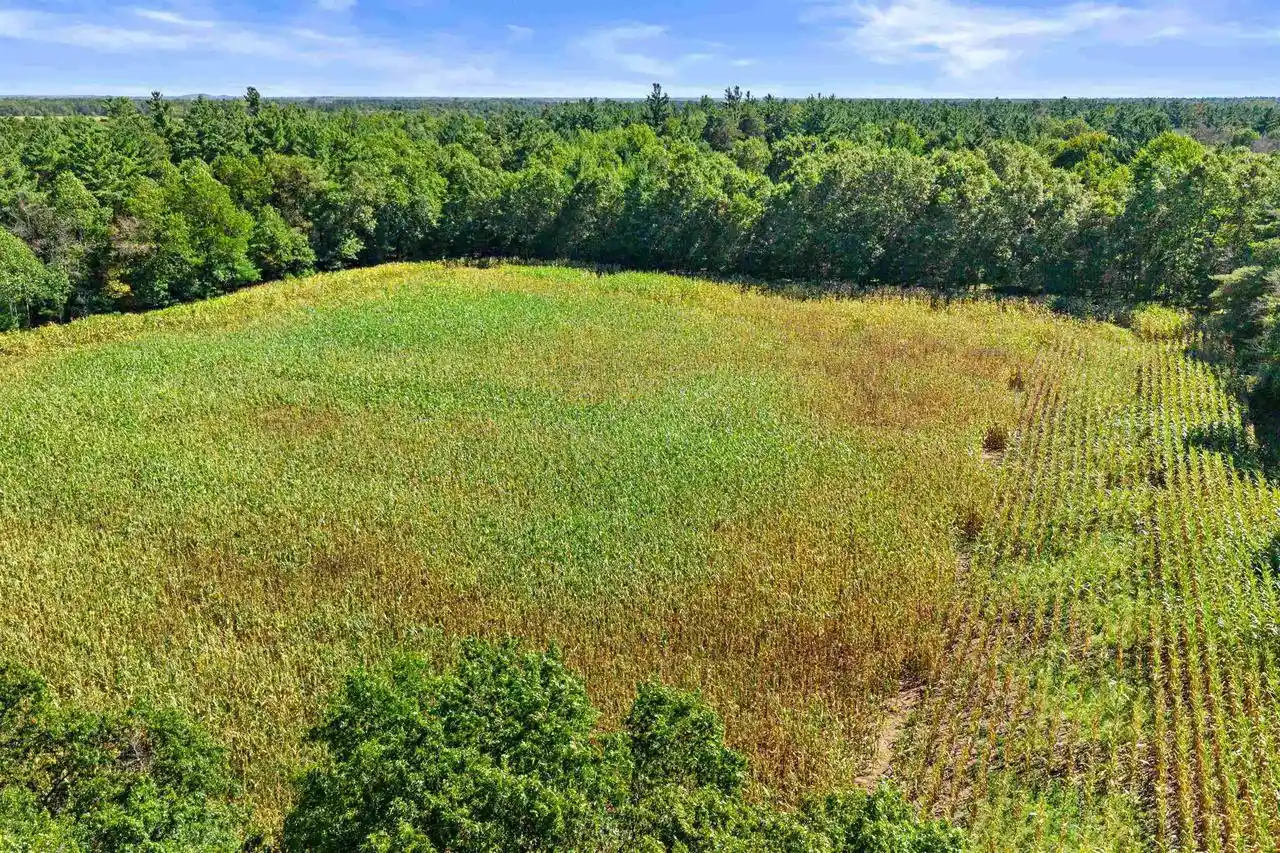 Photo 4 of Land for sale at 1291 Acres Grant Rd, Wisconsin Rapids, WI 54494 | MLS# 22604589 | Listing updated on 2026-09-17