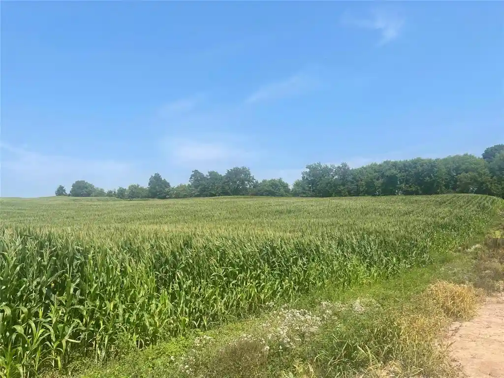 Photo 3 of Land for sale at Xx 190th Street, Centuria, WI 54024 | MLS# 1605190 | Listing updated on 2026-09-16