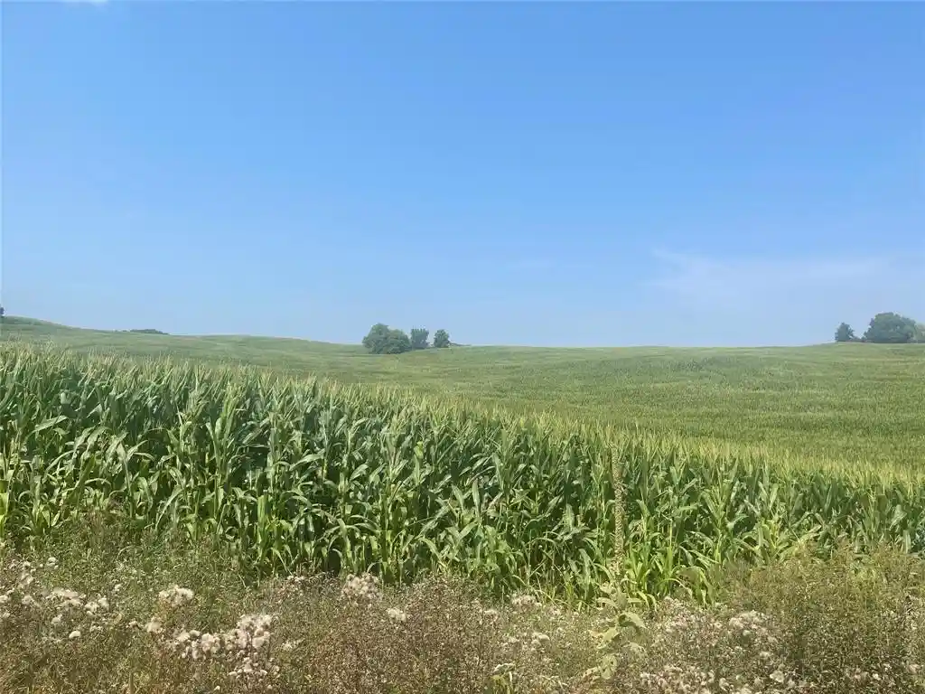 Photo 3 of Land for sale at Xx 190th Street, Centuria, WI 54024 | MLS# 1605190 | Listing updated on 2026-09-16