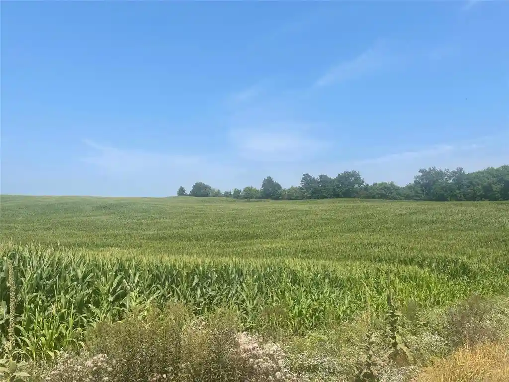 Photo 4 of Land for sale at Xx 190th Street, Centuria, WI 54024 | MLS# 1605190 | Listing updated on 2026-09-16