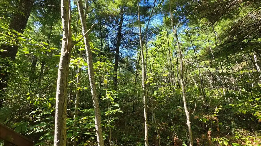 Photo 3 of Sale Pending at 4602w State Hwy 70, Winter, WI 54896 | MLS# 1605196 | Listing updated on 2026-09-28