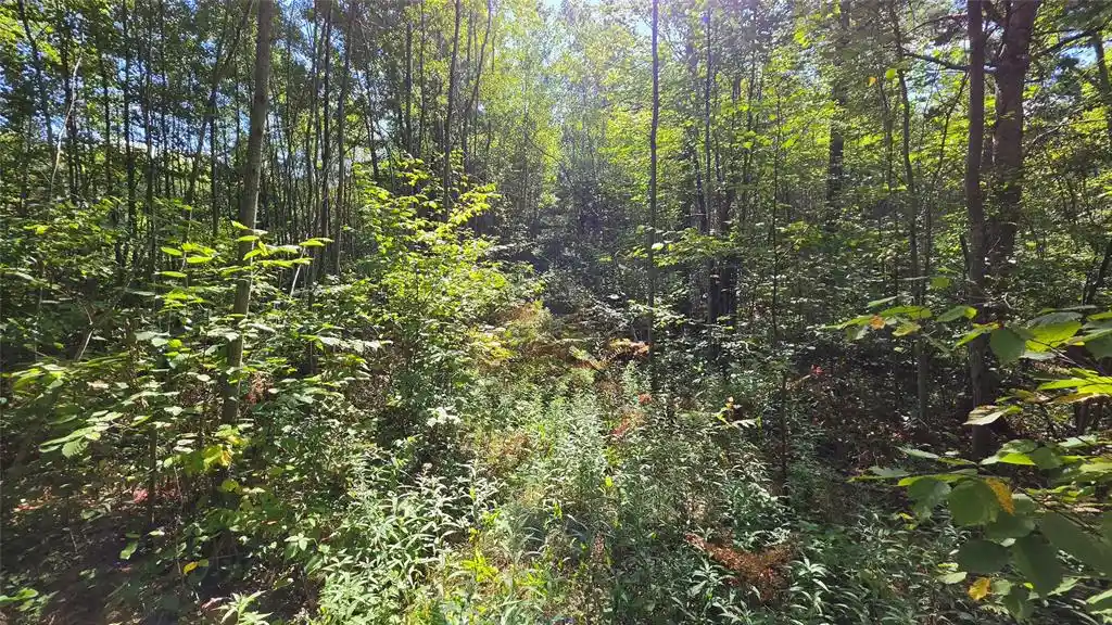 Photo 4 of Sale Pending at 4602w State Hwy 70, Winter, WI 54896 | MLS# 1605196 | Listing updated on 2026-09-28