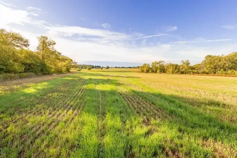 Photo 1 of Land for sale at Lot 2 County Rd N, Sheboygan Falls, WI 53085 | MLS# 1980891 | Listing updated on 2026-09-17
