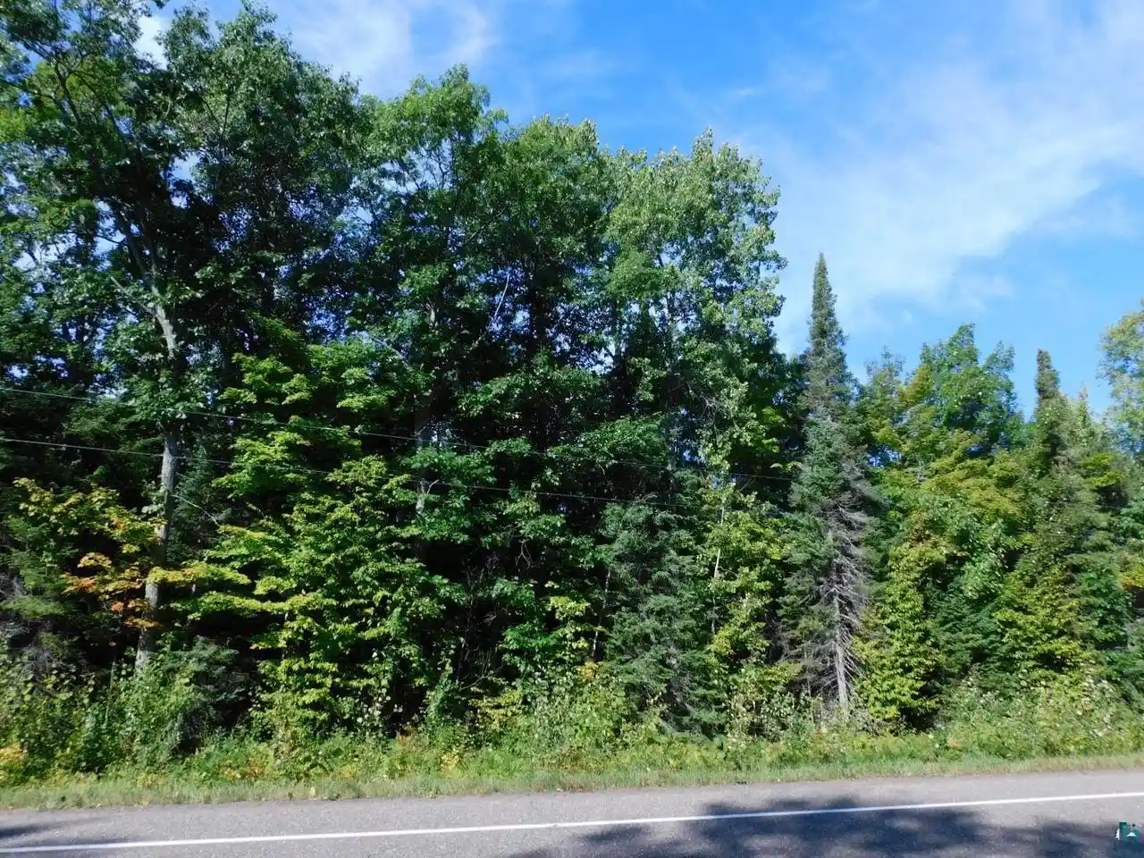 Photo 4 of Land for sale at 86335 County Hwy C, Cornucopia, WI 54827 | MLS# 6127991 | Listing updated on 2026-09-19