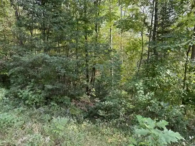 Photo 3 of Land for sale at 00 County Rd K, Irma, WI 54442 | MLS# 22604612 | Listing updated on 2026-10-21