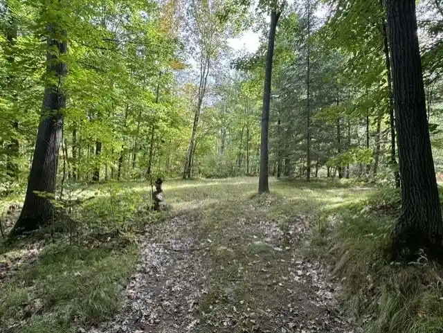 Photo 4 of Land for sale at 00 County Rd K, Irma, WI 54442 | MLS# 22604612 | Listing updated on 2026-10-21