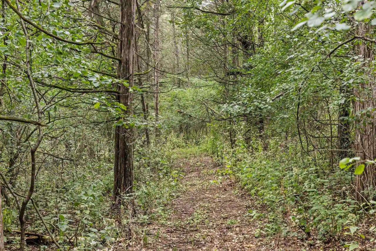 Photo 4 of Land for sale at W14555 Lee Rd, Wisconsin Dells, WI 53965 | MLS# 2032849 | Listing updated on 2026-09-22