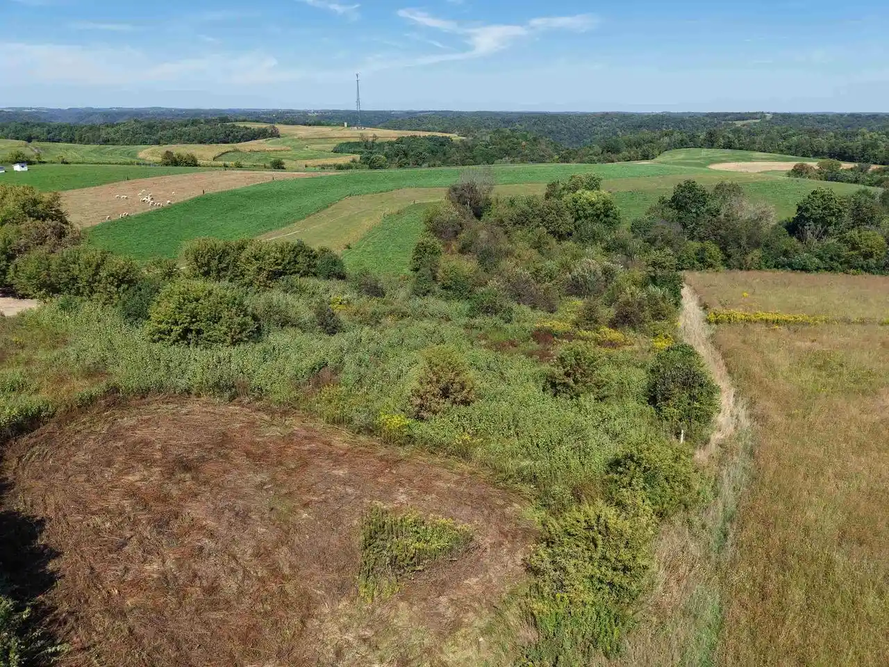 Photo 3 of Single family home for sale at E10246 Yttri Rd, Readstown, WI 54652 | MLS# 2032854 | Listing updated on 2026-10-06