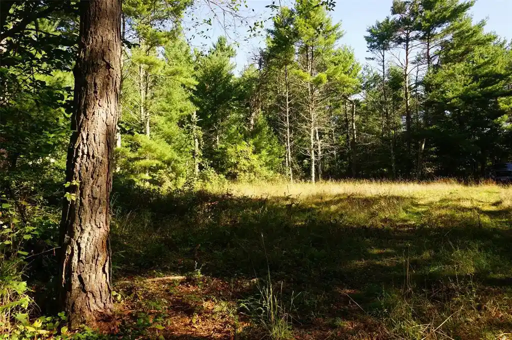 Photo 1 of Land for sale at N9105 Flood Lot 5 Rd, Black River Falls, WI 54615 | MLS# 1605206 | Listing updated on 2026-09-17