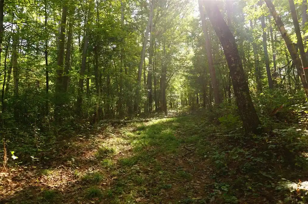 Photo 2 of Land for sale at N9105 Flood Lot 5 Rd, Black River Falls, WI 54615 | MLS# 1605206 | Listing updated on 2026-09-17